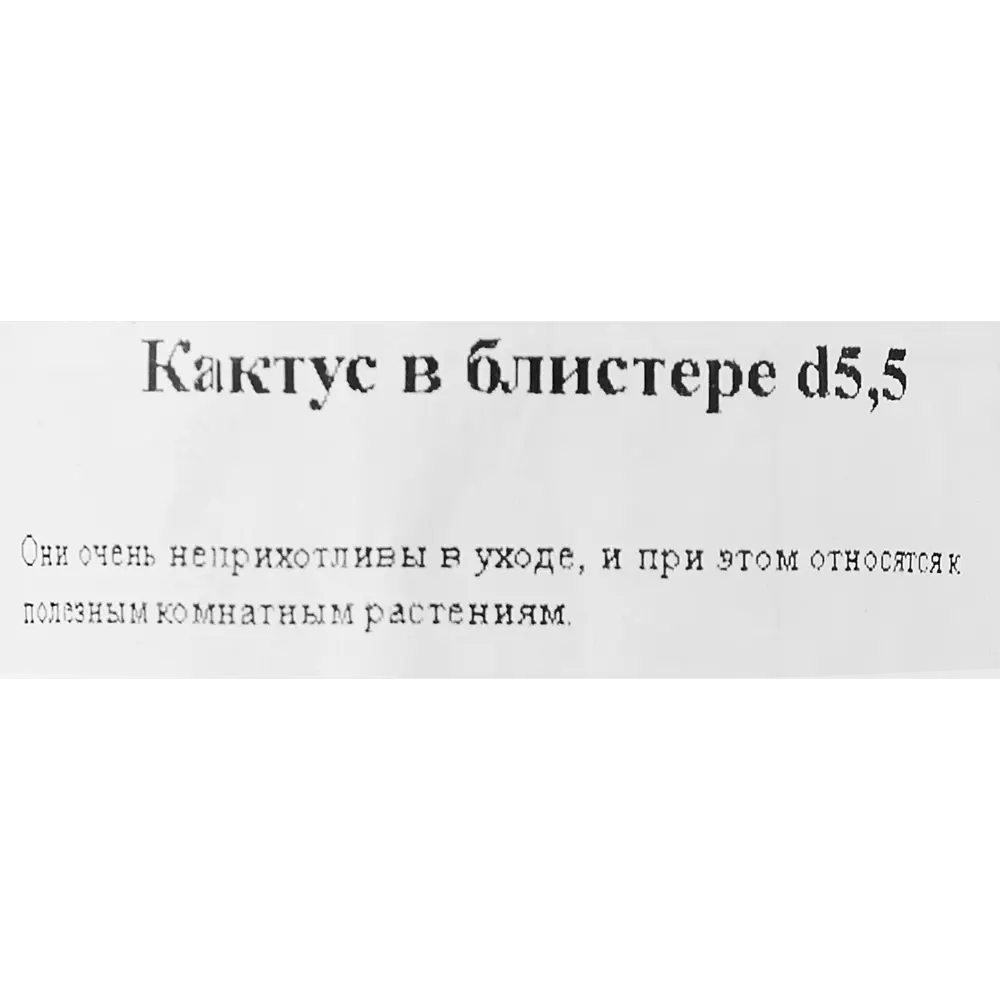 Santreyd: Декоративный кактус для современного интерьера 89296621 STLM-0823759 - Вид №10