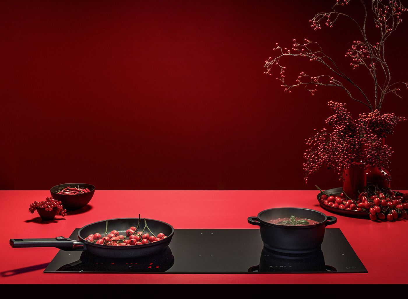 Встраиваемая индукционная плита из закаленного стекла Falmec Cooking Systems ARCH-00082425 - Вид №1