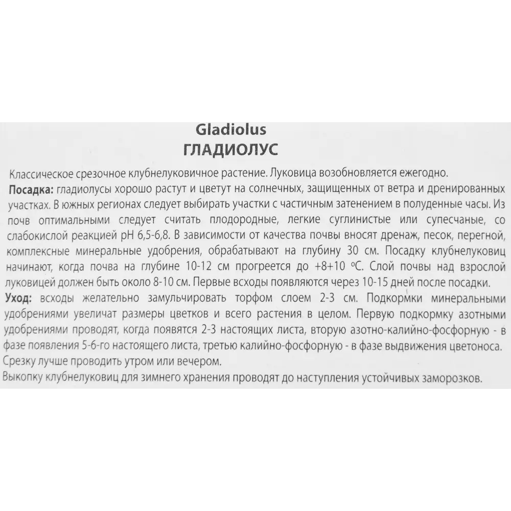 Гладиолус крупноцветковый Шака Зулу, 3 шт 86410018 STLM-2081631 ПОИСК  - Вид №2