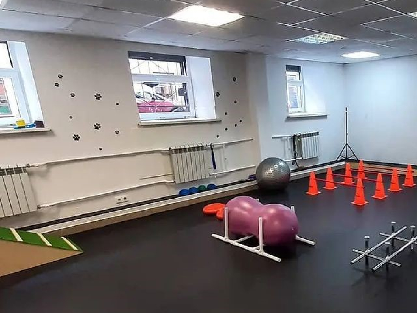 3.20.850B Рулонное резиновое покрытие Alegria Black  - Вид №5