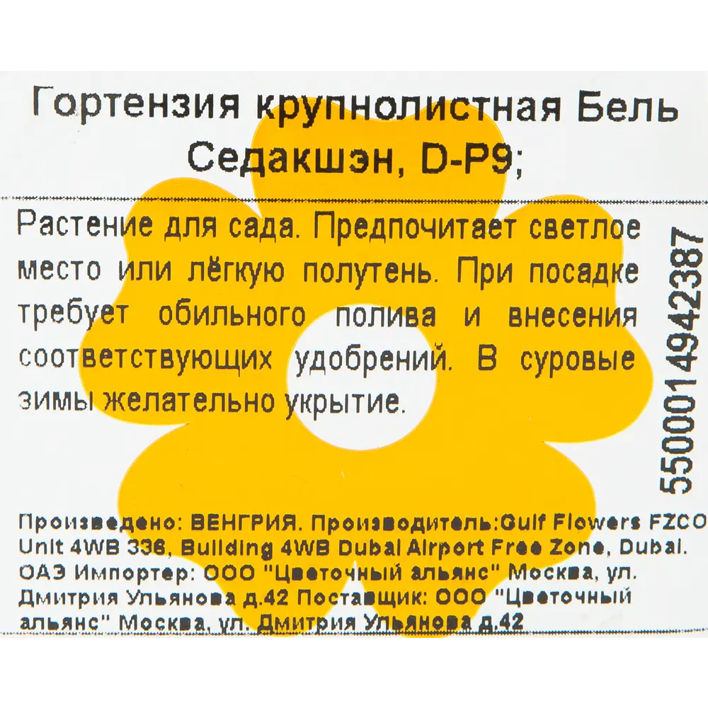 Гортензия крупнолистная «Бель Седакшэн» 9x20 см 82601824 STLM-2110782 Santreyd  - Вид №1