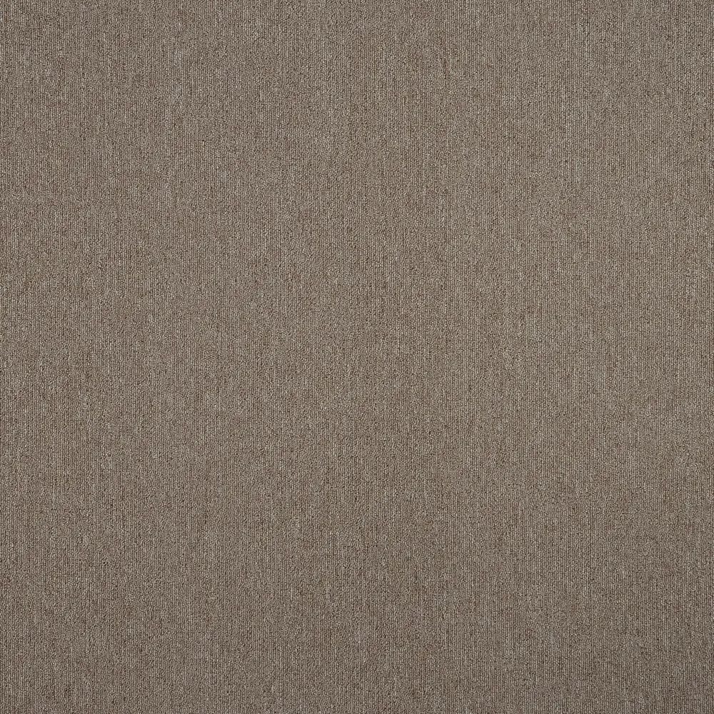 ЗАРТЕКС Колибри - ковролин светло-коричневый для уютного интерьера 82163695 STLM-0020794