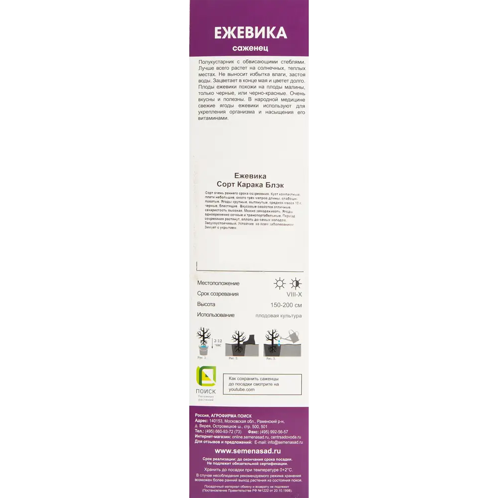 Ежевика Карака Блэк в тубе Поиск Инвест 82528991 STLM-2063079 Santreyd  - Вид №2