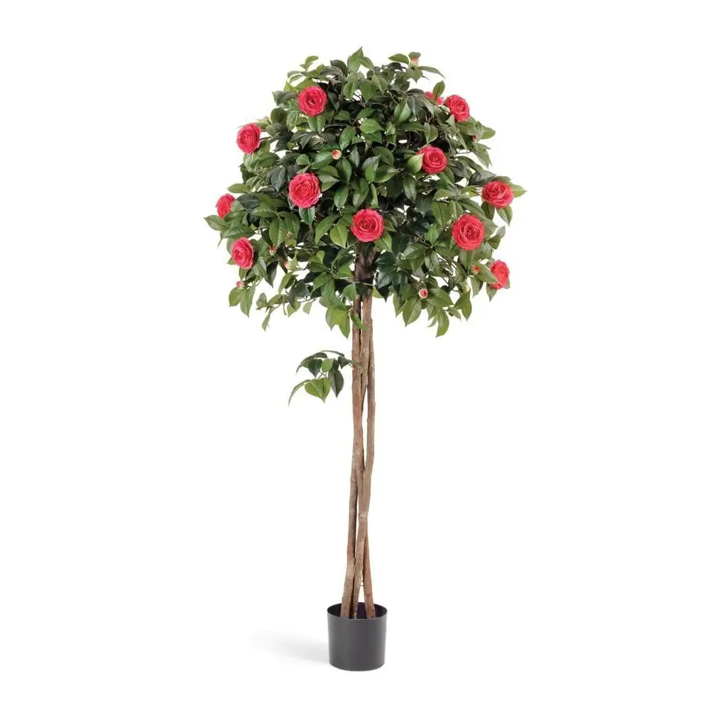 Роза микс декоративно-цветущая ø23 h150 см 89433602 Santreyd STLM-1585225