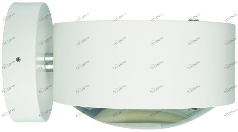 Top Light Настенный светильник для улицы с прямым и отраженным светом  2-40817-ll 