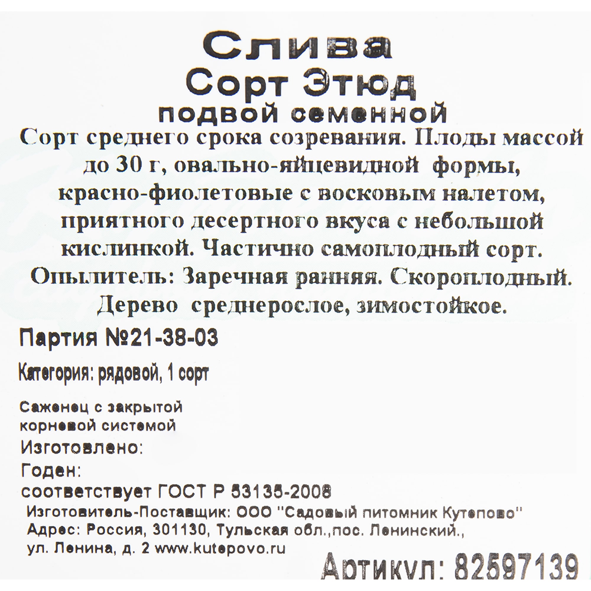 82597139 Слива «Этюд» C7 высота 180 см Santreyd  - Вид №1