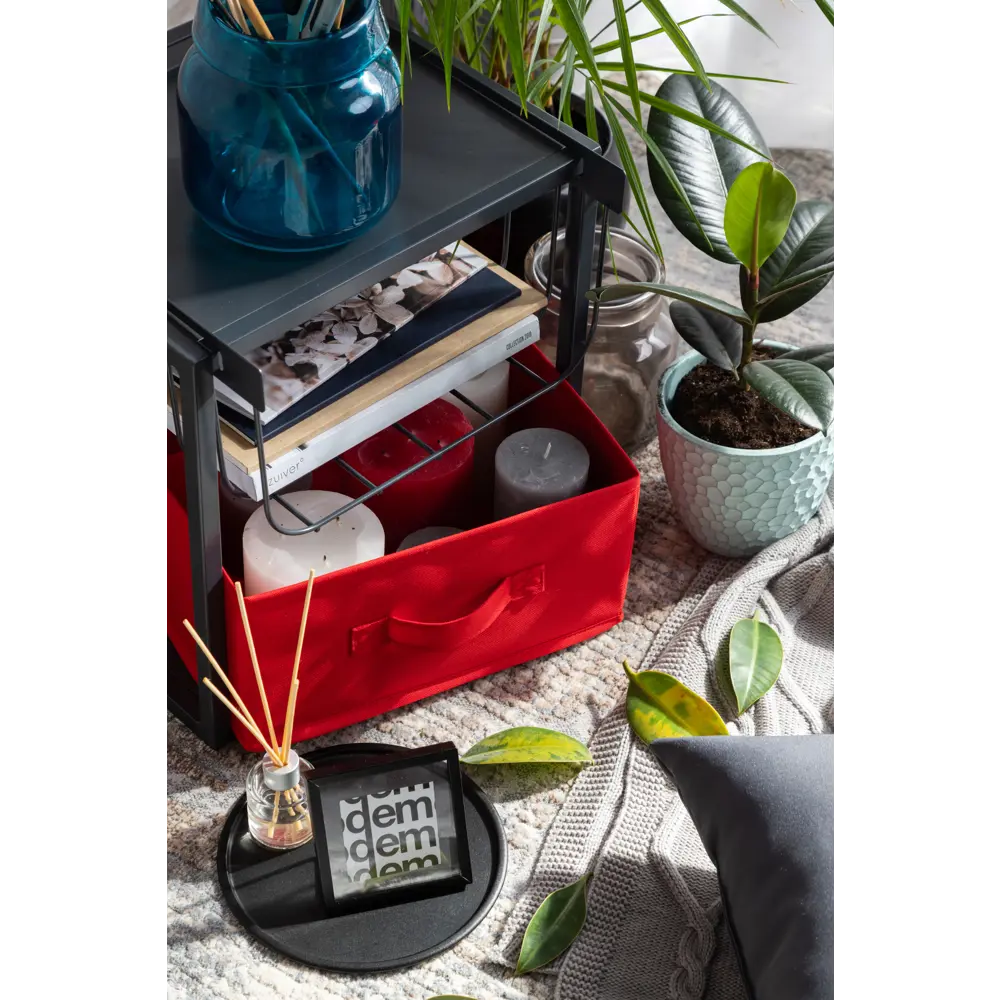 Вставка сетчатая для полки Spaceo KUB Paris 32x17.4x30.8 cм металл цвет черный STLM-2067757 - Вид №5