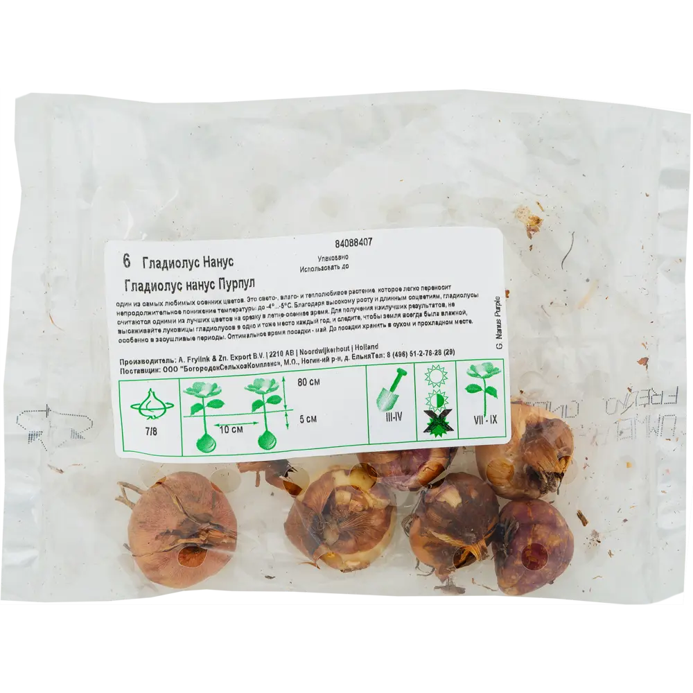 Гладиолус нанус «Пурпул», диаметр луковицы 70 мм, 6 шт Santreyd STLM-2183908