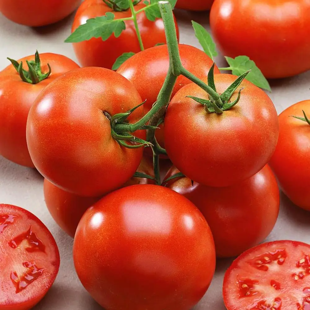 Томат 12x10 см Santreyd STLM-2018705