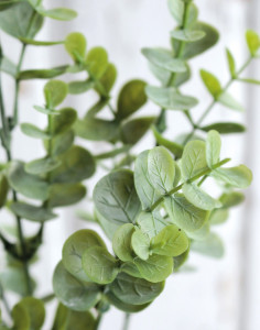 5323 883 a3 Искусственный куст эвкалипта, 30 см, зеленый H-andreas