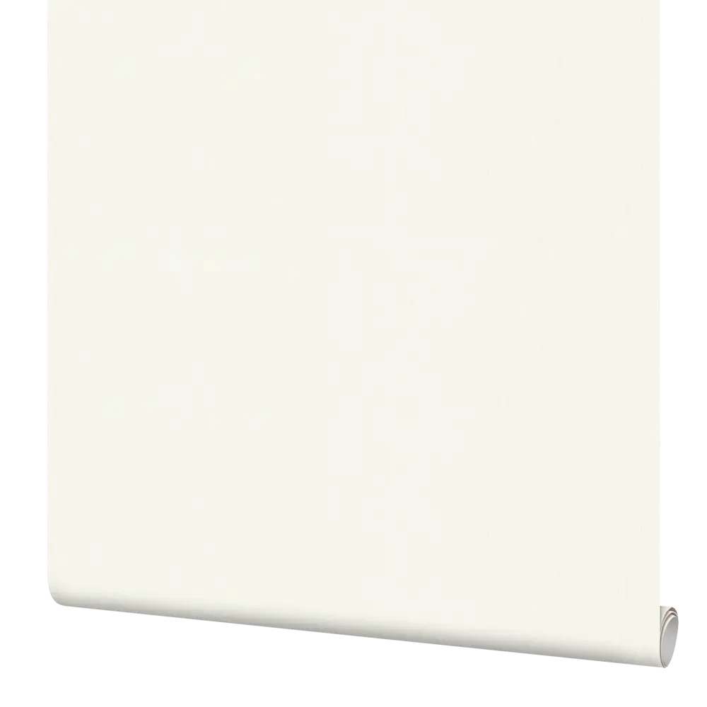 Обои флизелиновые Rasch Vitrage белые 1.06 м R975512 STLM-2117208