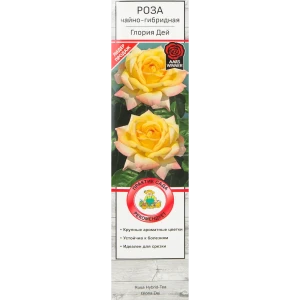 Розы чайно-гибридные «Глория Дей» 18346181 STLM-2065755