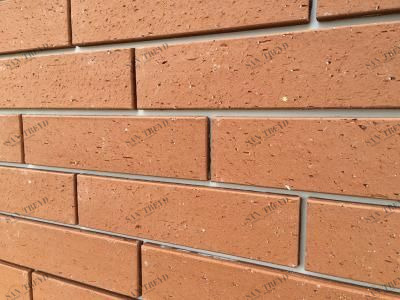 Клинкер кирпичный 60х240 Pharaon sun-id-328057