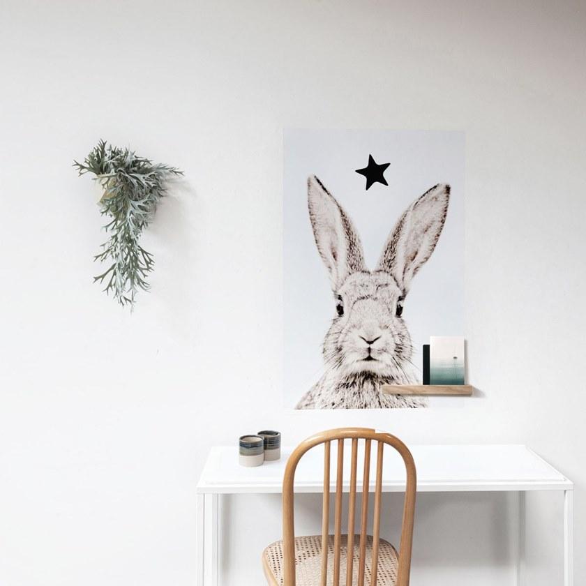 Groovy Magnets Магнитный плакат Animal Pos-62-r - Вид №2