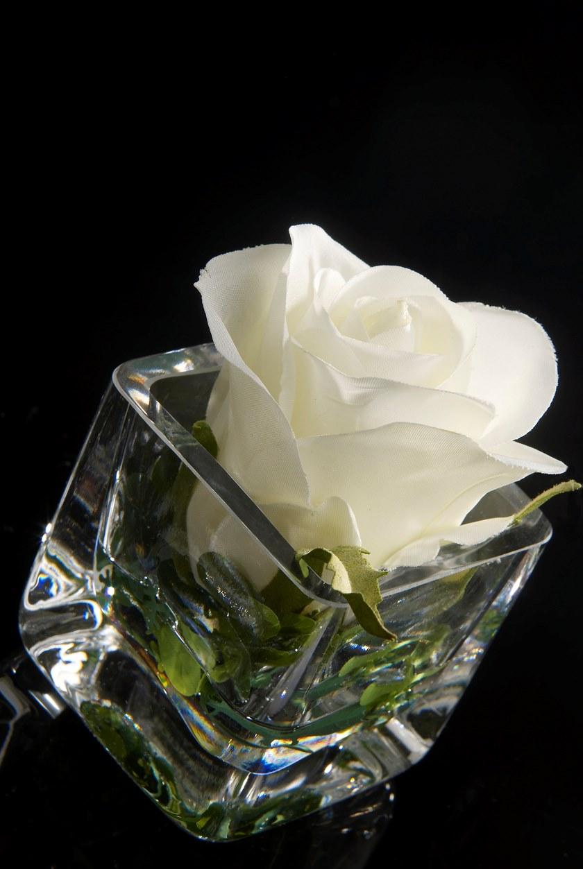 VGnewtrend Искусственное растение Eternity 1141153.95 - Вид №1