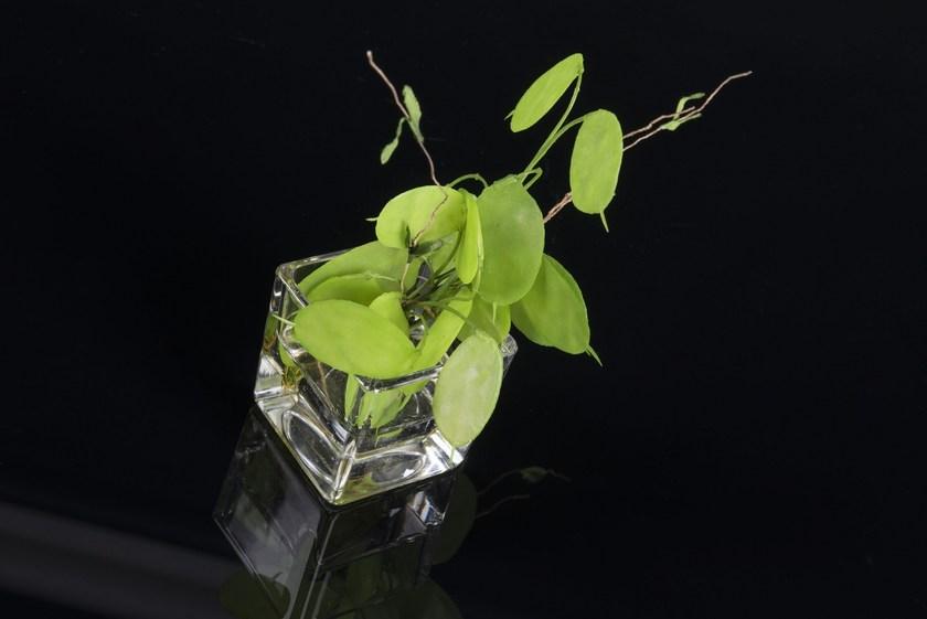 VGnewtrend Искусственное растение  1141714.60  - Вид №1