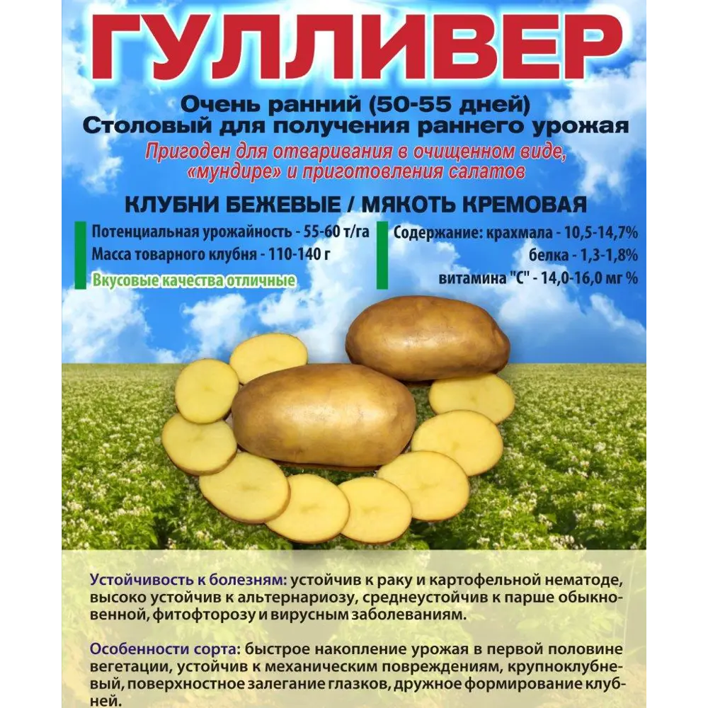 Картофель Гулливер Суперэлита 2 кг Santreyd STLM-2042853