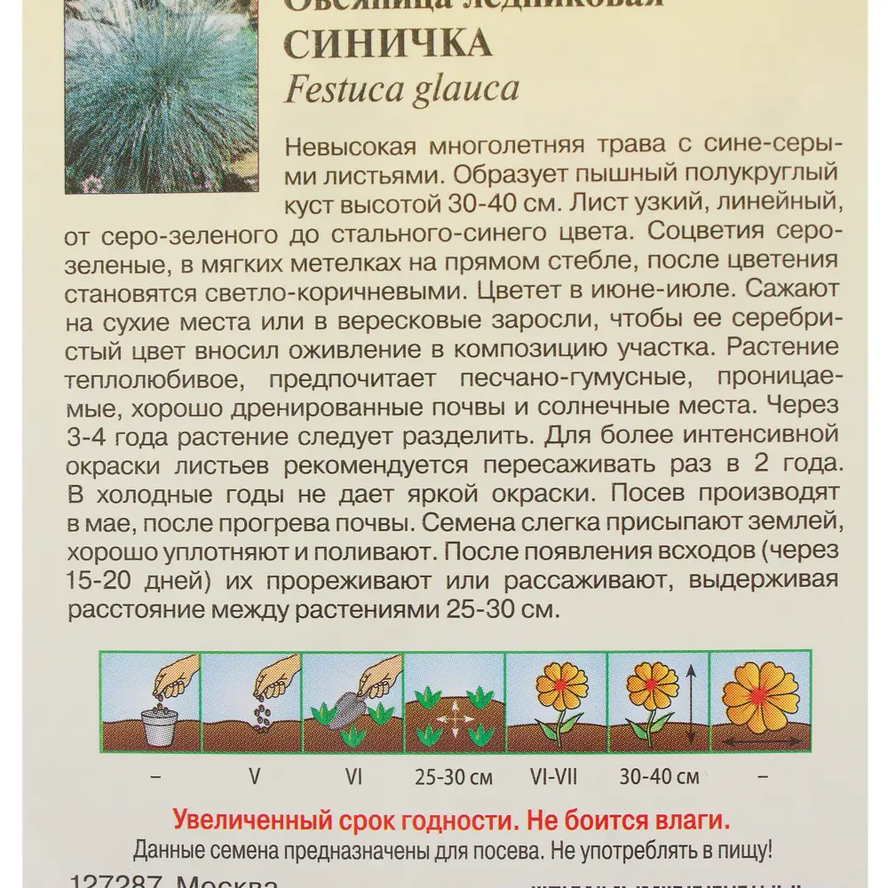 Овсяница ледниковая «Синичка» 0.1 г (Альпийская горка) 81933421 STLM-2037273 ГАВРИШ  - Вид №2
