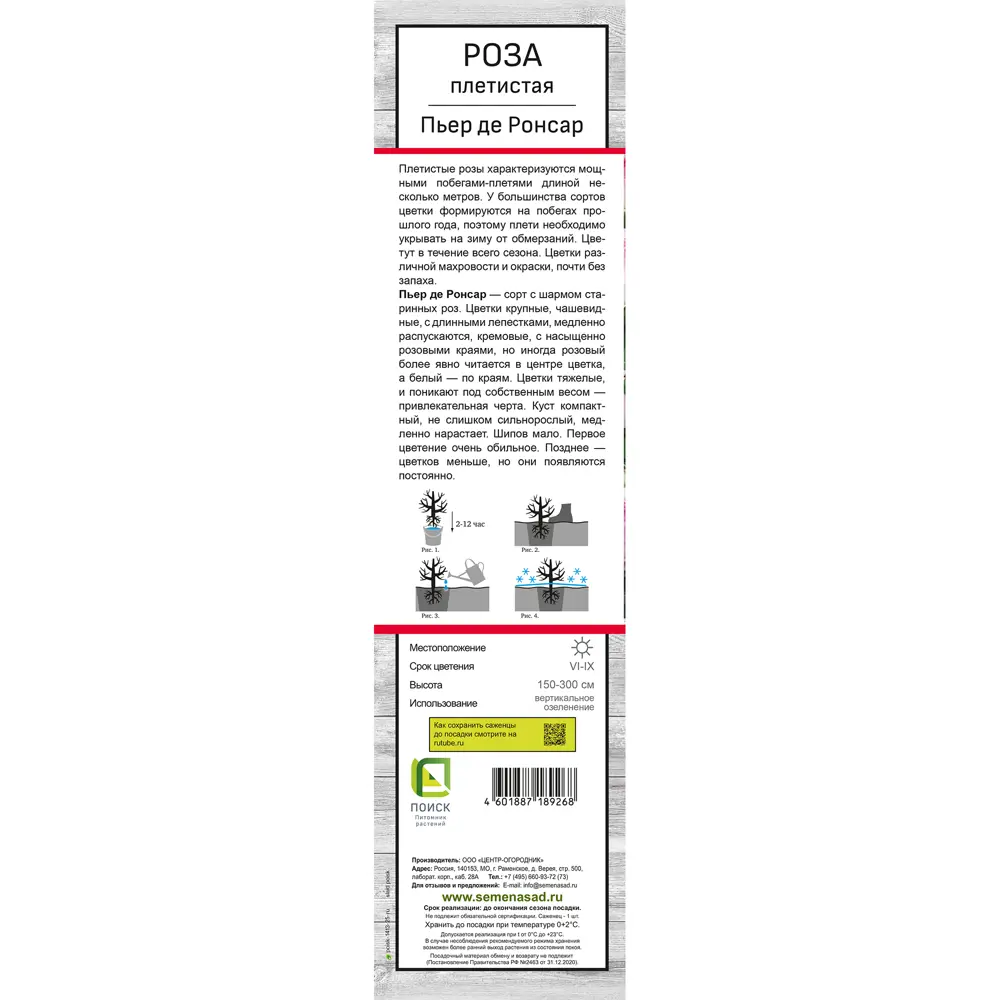 Роза плетистая Пьер де ронсар h37 см 83786609 STLM-2067974 Santreyd  - Вид №2