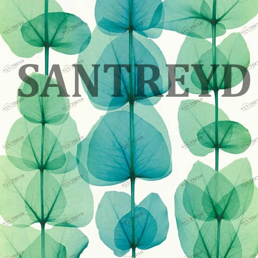 34245-4 Обои A.S. Creation X-Ray 342454