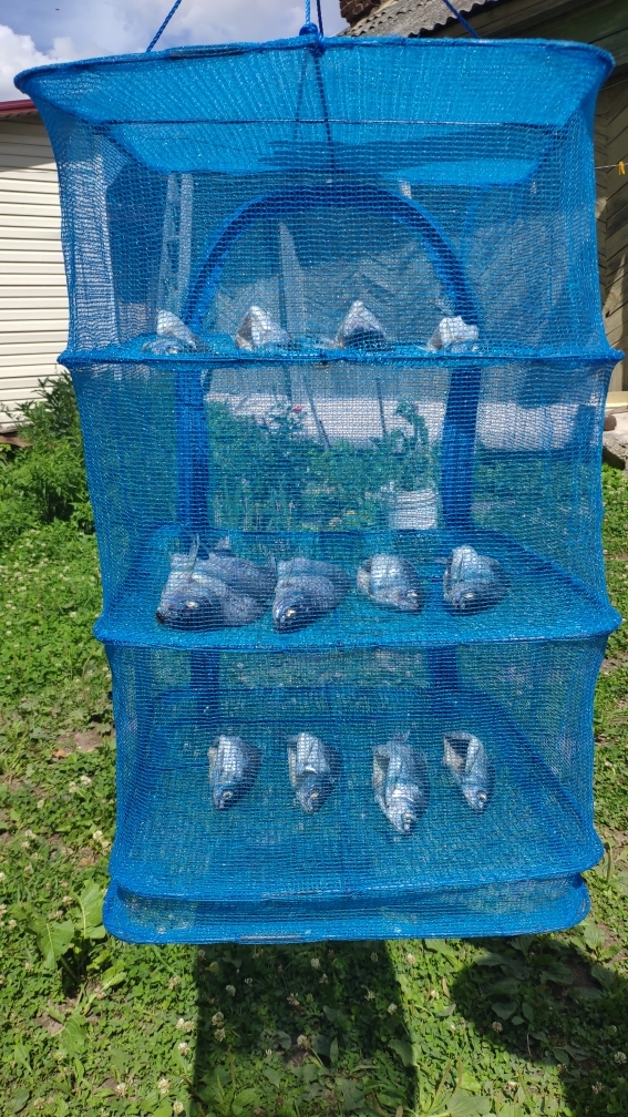 2402 Сушилка универсальная для рыбы, грибов и ягод 40*40*55 LAB.Space  - Вид №4