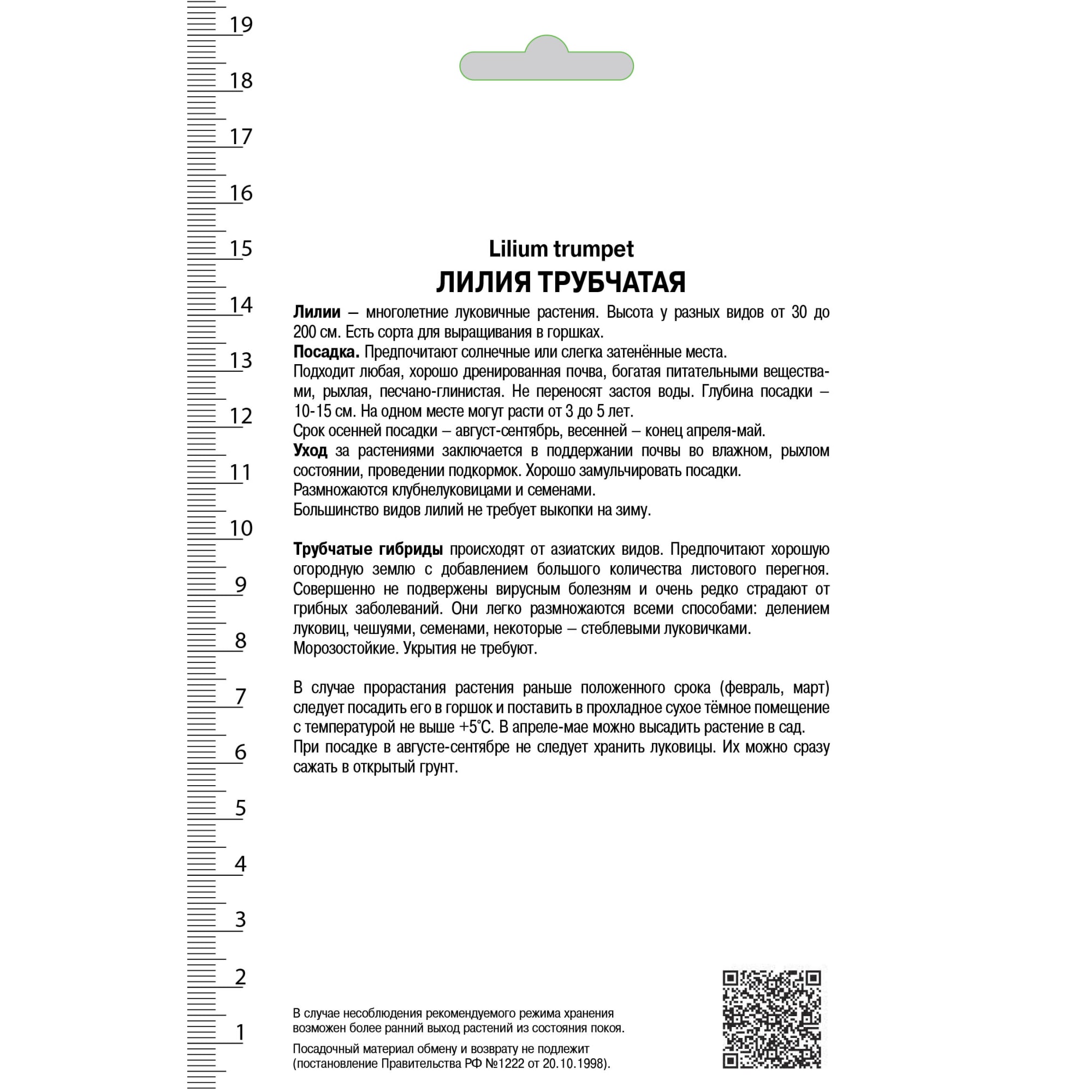 82000199 Лилия трубчатая «Ригейл Альбум», высота 50 см, 1 шт Santreyd  - Вид №1