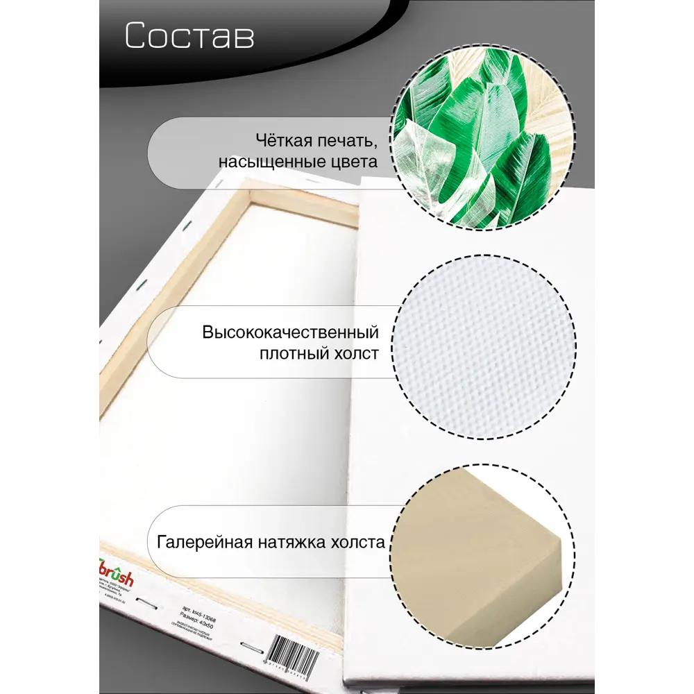 Картина на холсте Экзотические листья 1 40x50 см FBRUSH STLM-2191042 - Вид №9