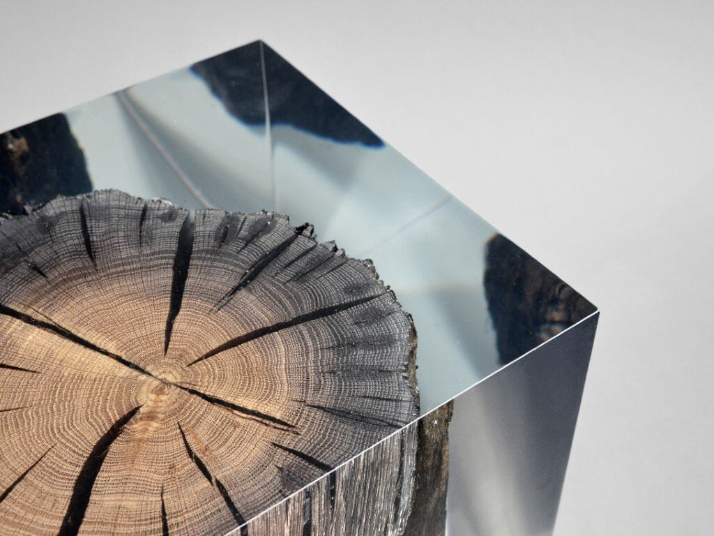 Журнальный столик / табурет alcarol Wetland ARCH-00051618 - Вид №7