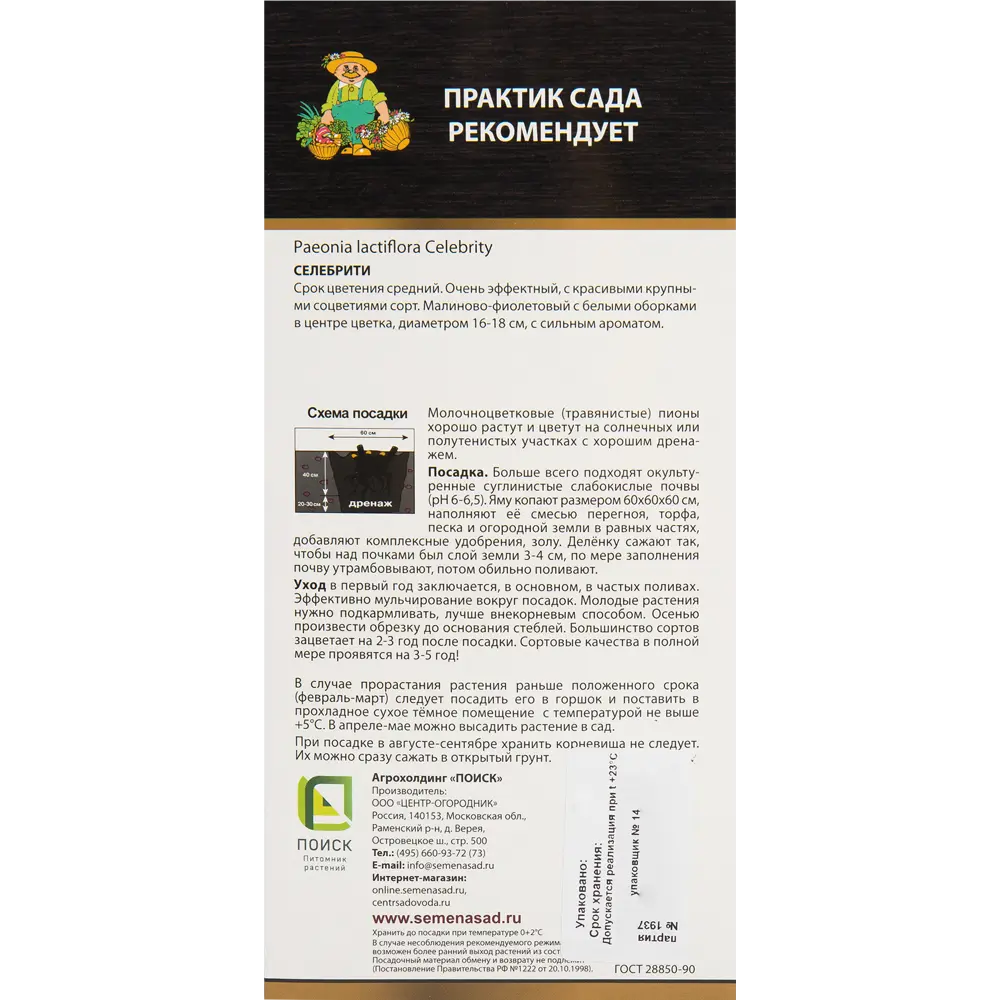 Пион травянистый Селебрити 10/12 ,1 шт 82530301 STLM-2013649 Santreyd  - Вид №1