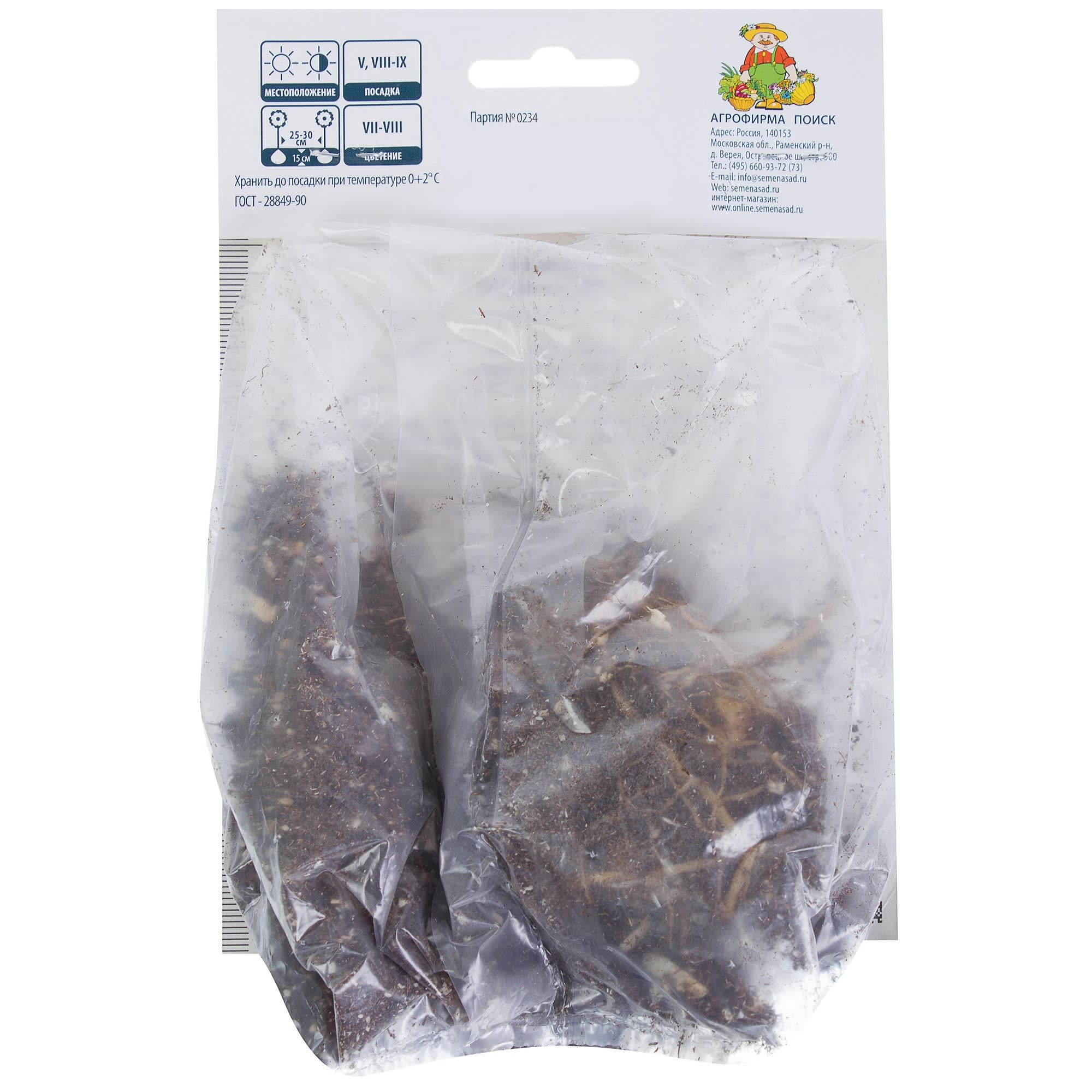 81945469 Лилия азиатская «Тинос» Santreyd  - Вид №1