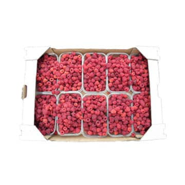 Малина в ящике ~3,5 кг Santreyd 19500 - Вид №1