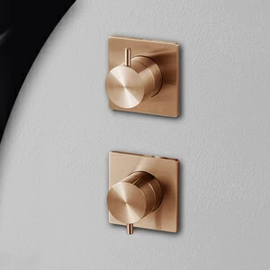 Смеситель для душа AICO AIC9R розовое золото