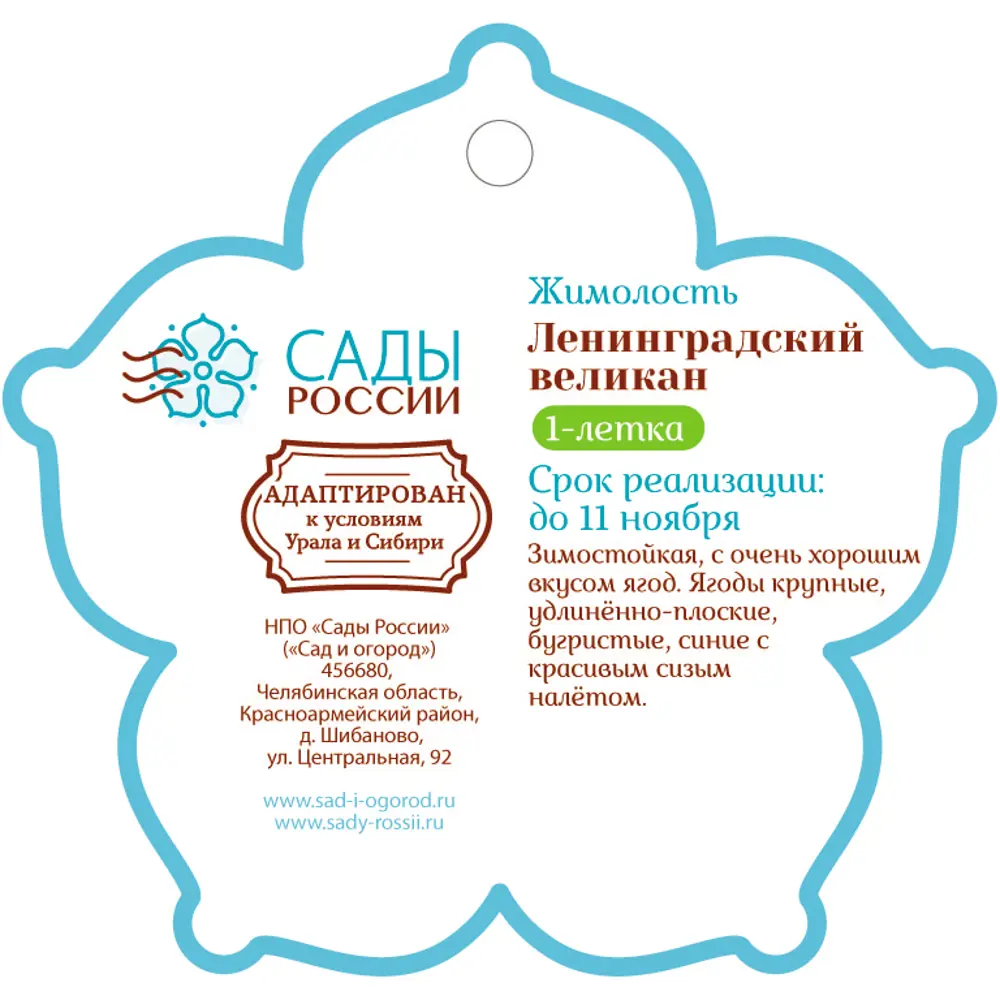 Жимолость «Ленинградский великан» 1 год 12.5x30-50 см 82610436 STLM-2110255 Santreyd  - Вид №1