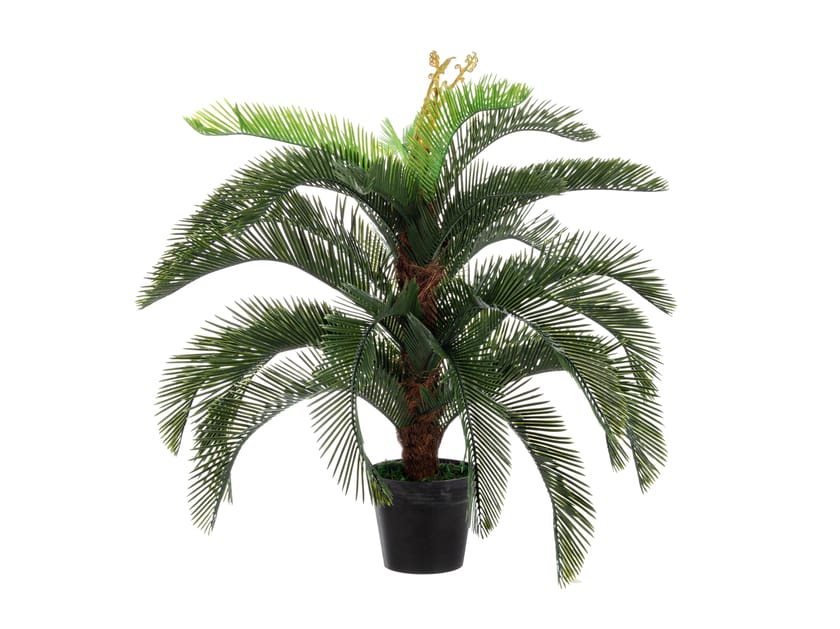 Искусственное растение BIZZOTTO PALMA CYCAS H120 ARCH-00098843