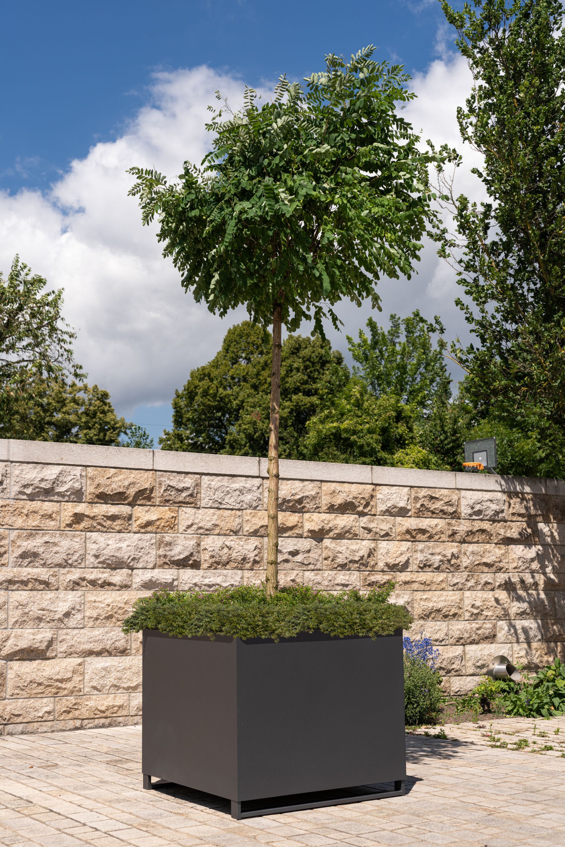 Квадратная сеялка из нержавеющей стали BENKERT BANKE плантатор ARCH-00125419 - Вид №1