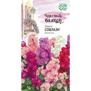 Семена Левкой Соблазн 83606930 STLM-2135490