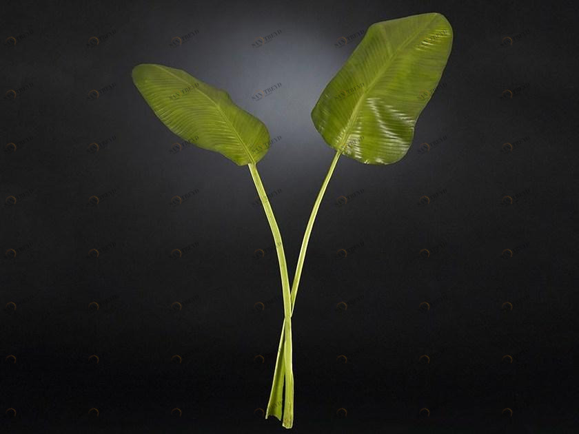 VGnewtrend Искусственное растение из полиэстера  1040832.60 