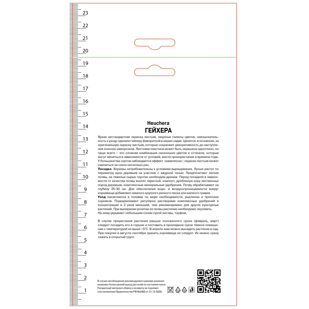 Гейхера Корал Форест кроваво-красная 89452268 STLM-2171289 ПОИСК 