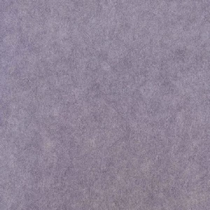 0113-PIT Обои ProSpero Space