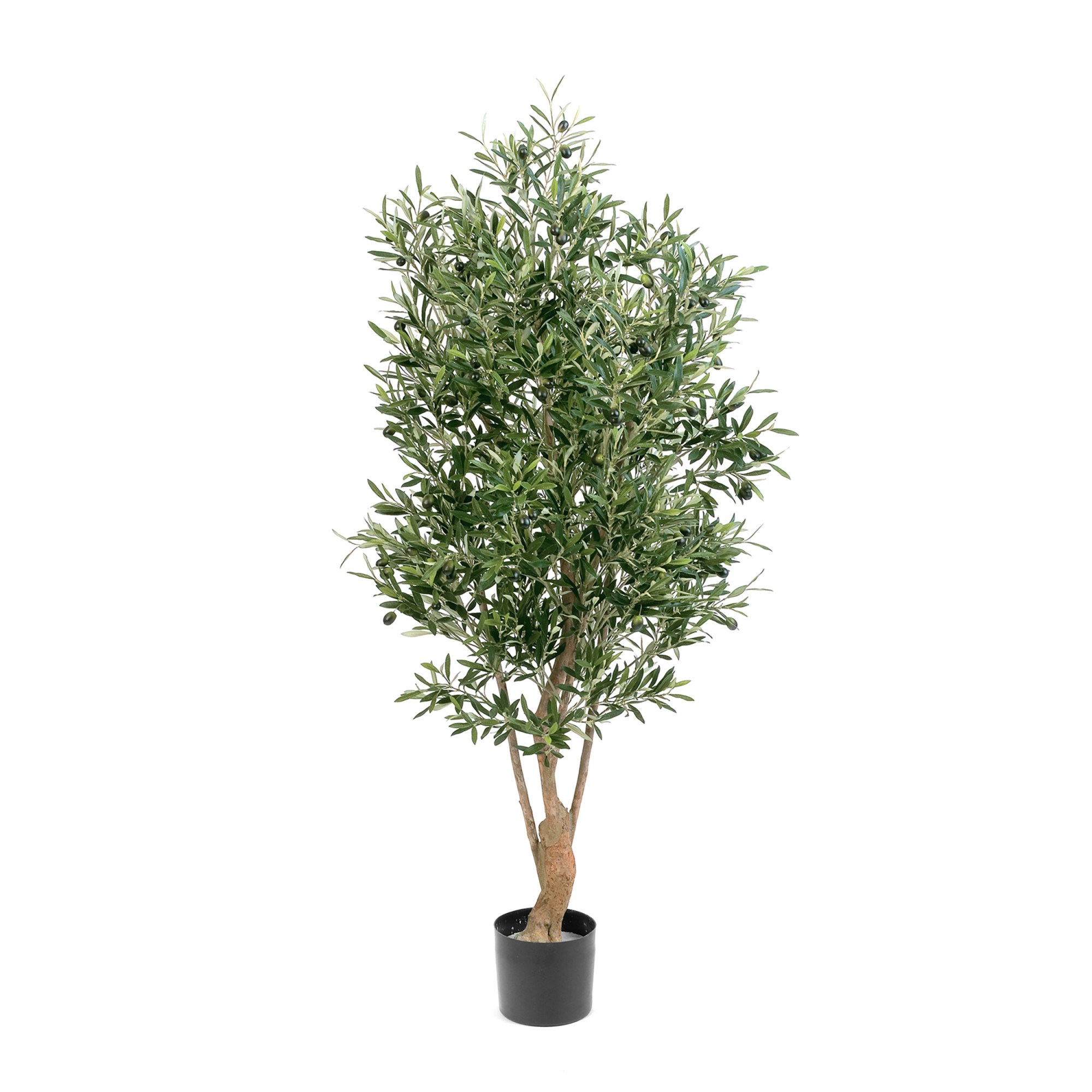 2000983198211 Олива Твист с плодами в-150 см LINDDNA Santreyd 