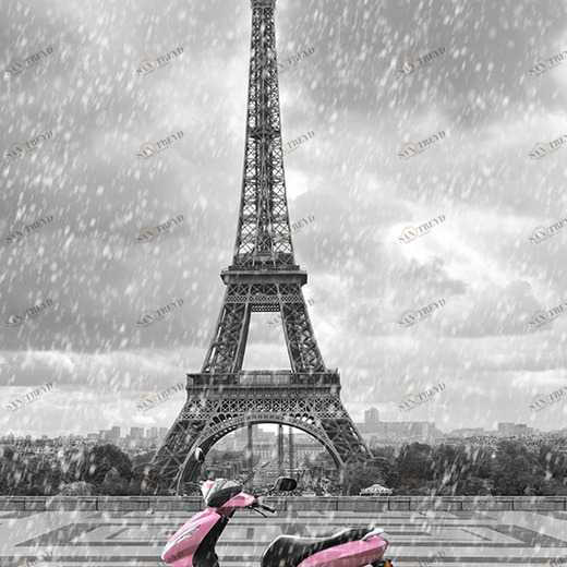 B1-020 Фотообои DIVINO Collection B 2.7х2 м B1020