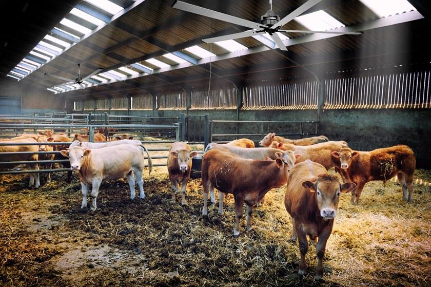 Vortice Nordik hvls super blade  61081  - Вид №4