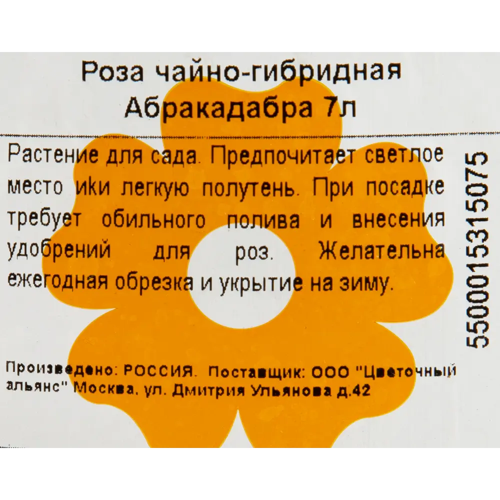 Роза чайно-гибридная «Абракадабра» 23x40 см 82601789 STLM-2187001 Santreyd  - Вид №2