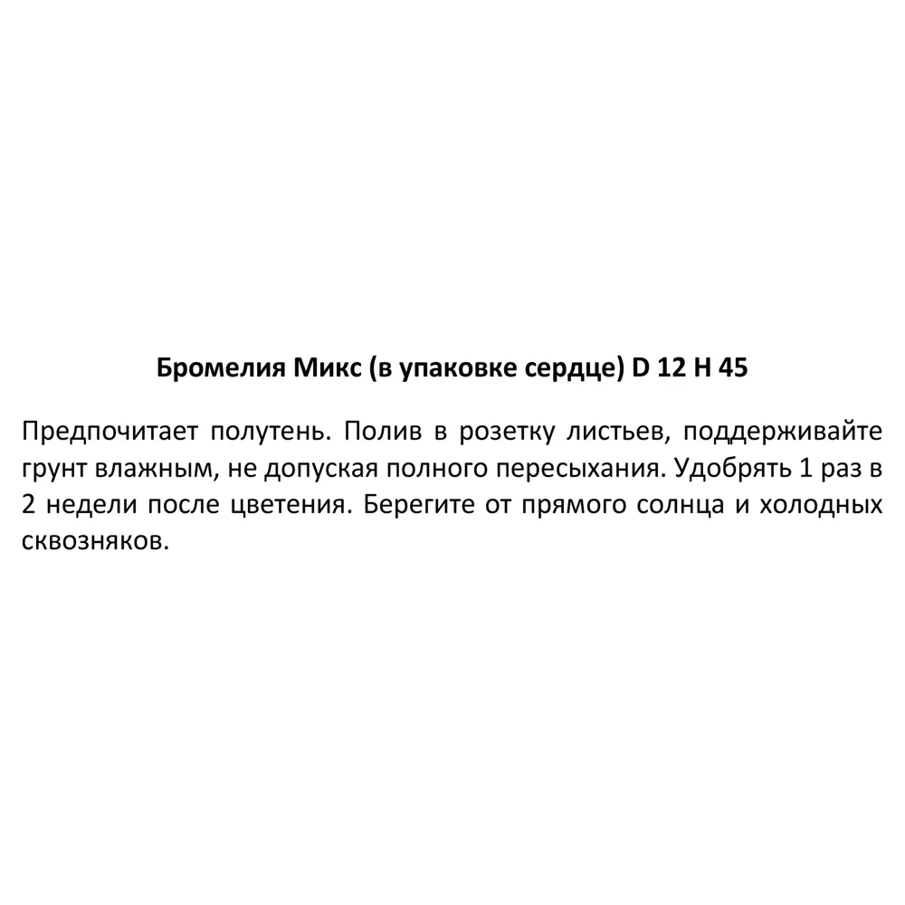 Бромелия микс ø12 h45 см 83738740 STLM-2058128 Santreyd  - Вид №8