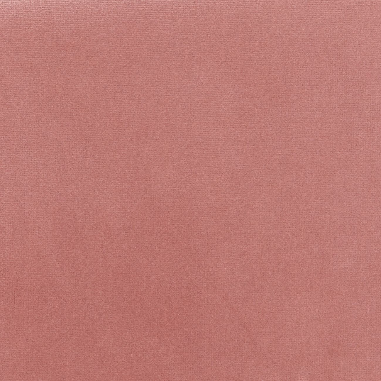 Бархатная однотонная ткань Élitis Palatine ARCH-00143253 - Вид №59