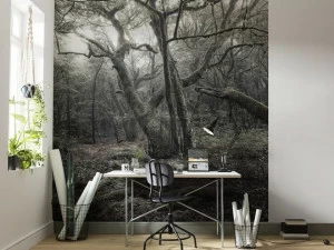 Komar Флизелиновые обои с пейзажами Wanderlust Shx5-018