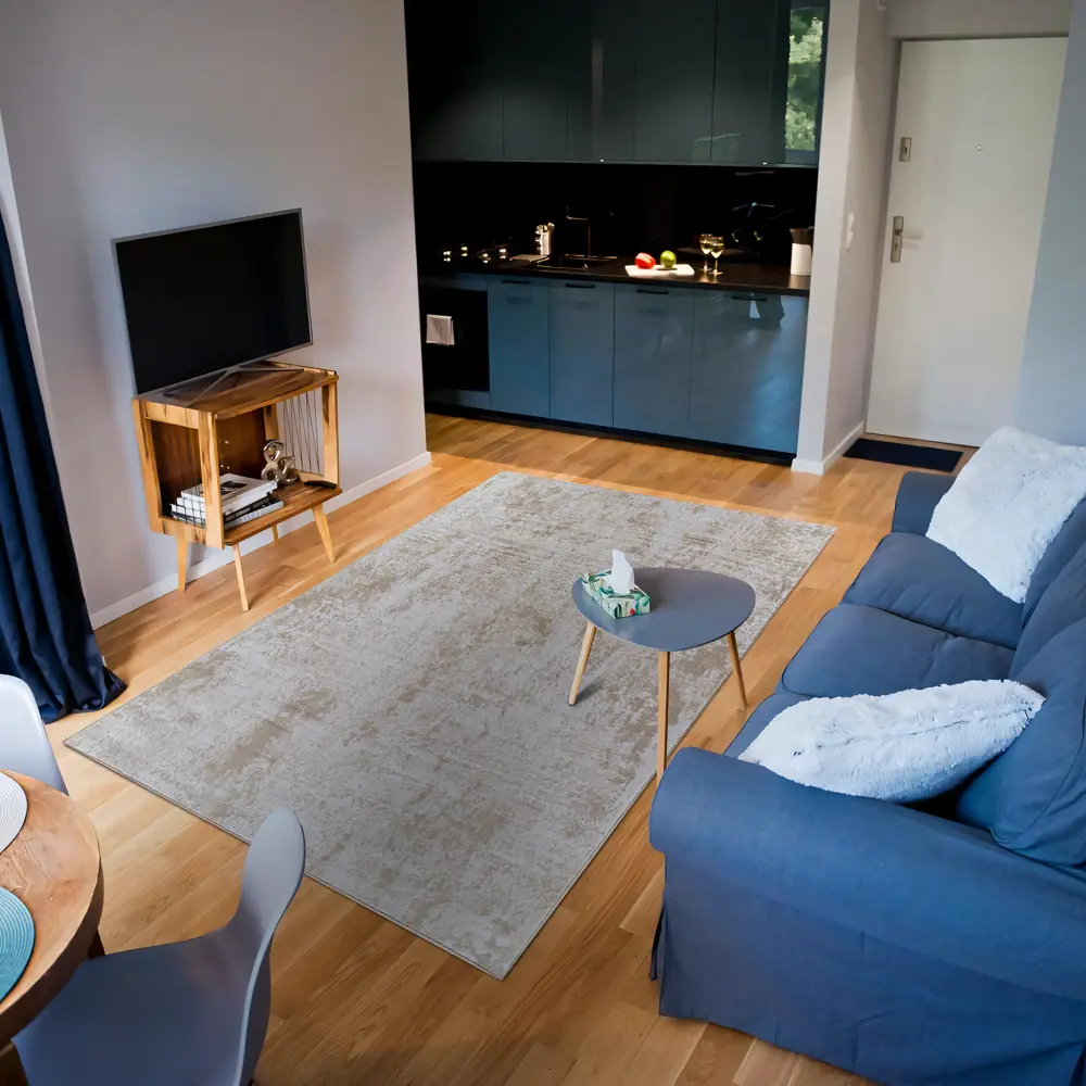 Ковер Merinos Point 200х300 см бежевый с узором 89423601 STLM-1566424