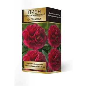Пион травянистый Ол Фейтфул луковица 2-3 83600271 STLM-2148426