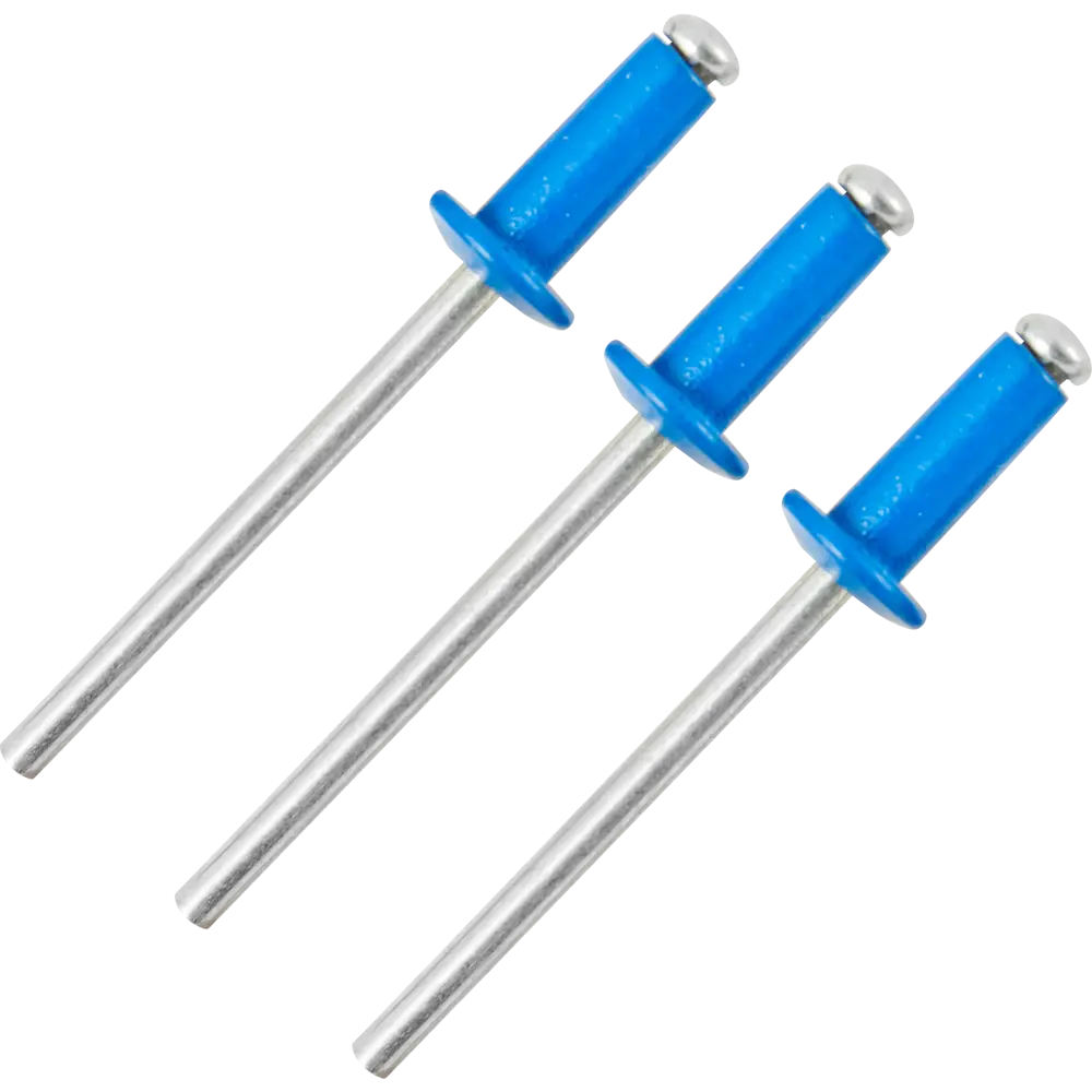 Заклепка RAL5005 синяя 4x10 мм, 50 шт Santreyd STLM-2051304