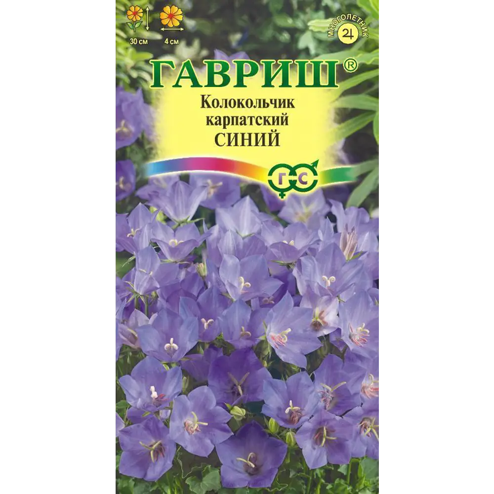 Семена Колокольчик карпатский синий ГАВРИШ STLM-2202677